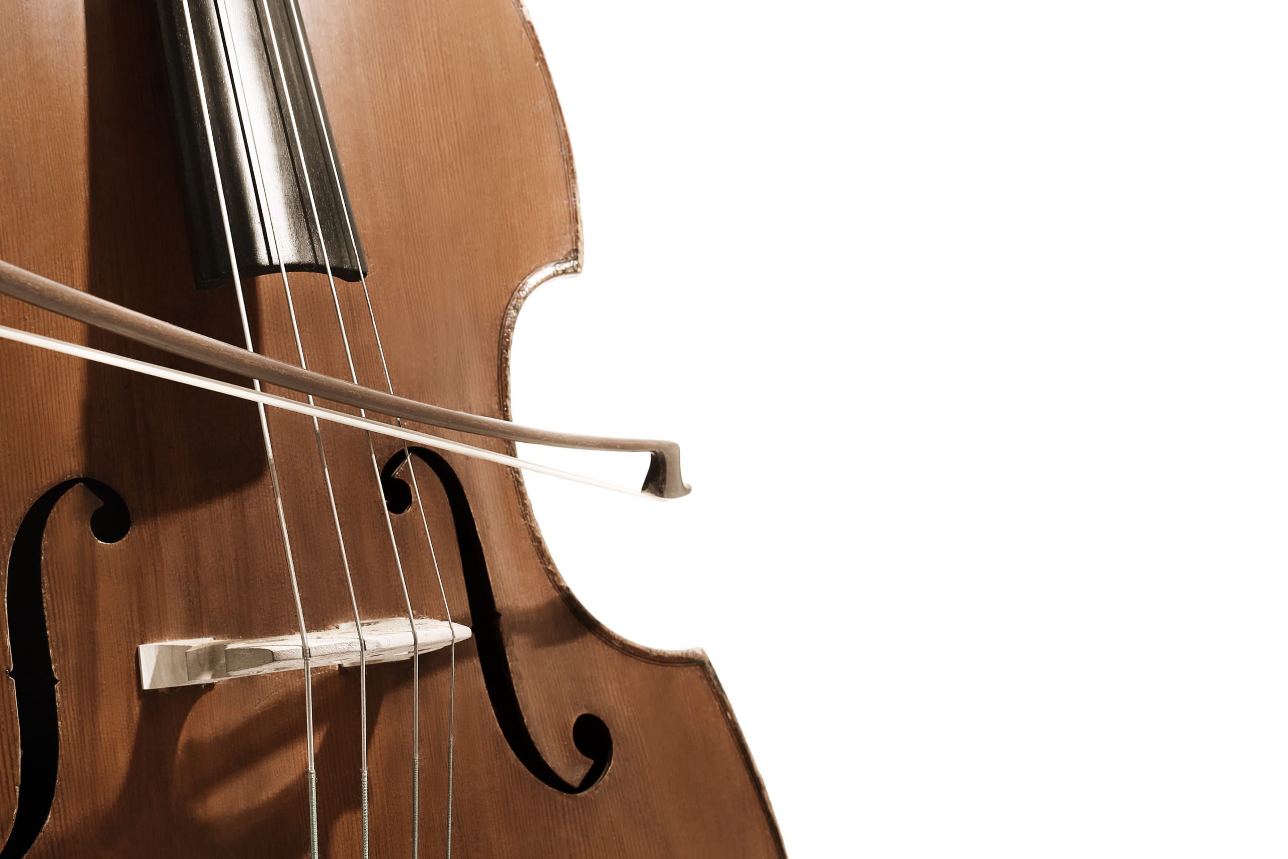 double-bass-lessons-southampton-expert-private-double-bass-teachers