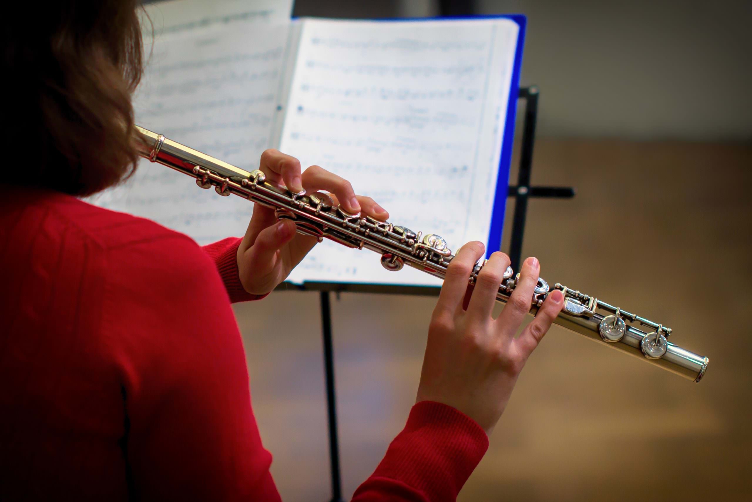 flute-lessons-southampton-hampshire-expert-private-flute-teachers